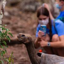 Teen girl snaps photo of giant Galapagos tortoise 