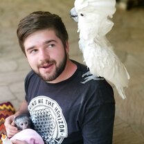 Volunteer with orpaned monkey and rescued cockatoo