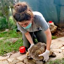 Veterinary volunteer with rescued tortoise