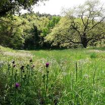 The meadows