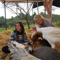With the animals
