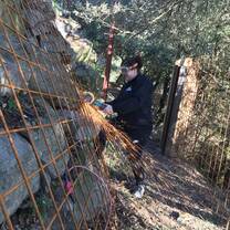 Working on the fence
