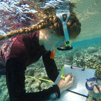 Marine Conservation Internship | Red Sea - Egypt | Field Program