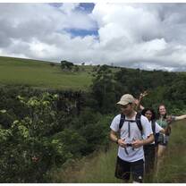Students exploring