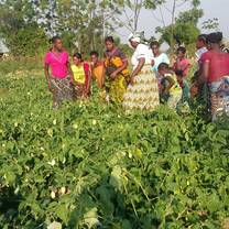 agricultural projects