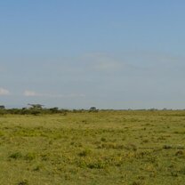 Volunteer in Kenya with Projects Abroad