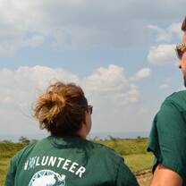 Volunteer in Kenya with Projects Abroad