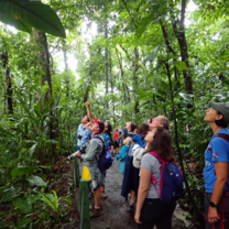 Wildlife Watching in Costa Rica