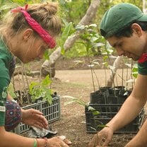 Volunteer planing trees in Costa Rica