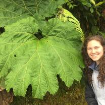 Costa Rica has some big leaves