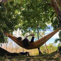 Students taking a break in a hammock