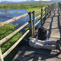 Student looking under the boardwalk at Palo Verde
