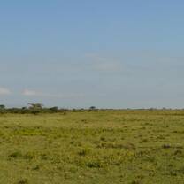 Volunteer in Kenya with Projects Abroad