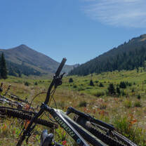 Bikes in the meadows