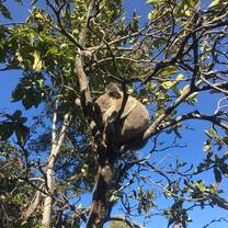 Australia Adventure