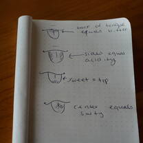 Class notes