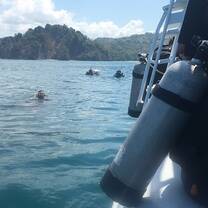 Marine Scientist Training - Costa Rica