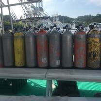 Marine Scientist Training - Costa Rica