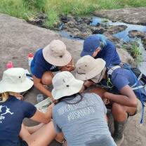 Student examining fresh water invertebrates