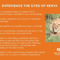 Safaris and Tourism Overview