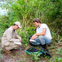 Fieldwork at the Atlantic Forest of Paraguay