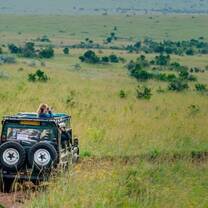 Safari