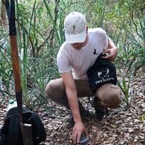 Setting out Pitfall Traps for ants in Ñeembucú Department