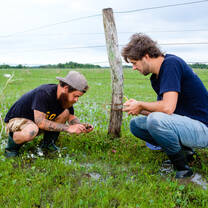 Fieldwork with PLT