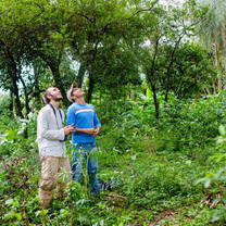 Fieldwork with PLT