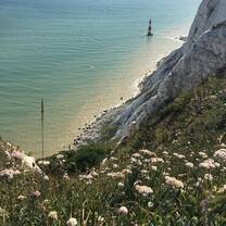 the top of Beachy Head looking down to the beach