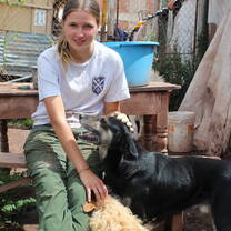 Dog Shelter Volunteering