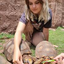 Wildlife Rescue Volunteering