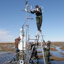 CNSC research
