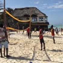 dolphin-research-marine-conservation-zanzibar-african-impact