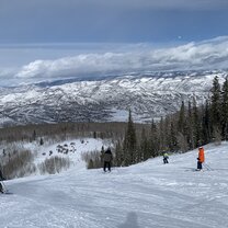 Aspen landscape
