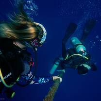 Divers on safety stop