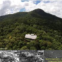 Rewilding an old mine at Reserva Jaguarapira 