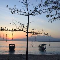 gili meno
