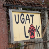 Ugat Lak Shelter