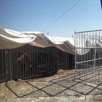 Current condition of the shelter