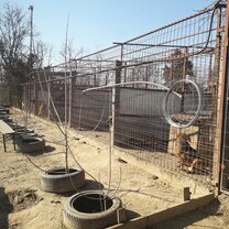 Current condition of the shelter