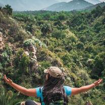 A student admires the view during a hike in Chile.