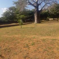Conservation of the Boabab Trees in Kilifi