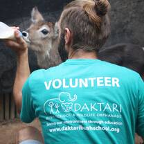 Volunteer feeding animal