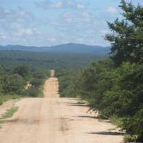 Road to DAKTARI