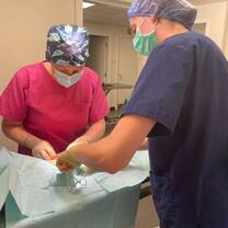 Veterinary intern gaining hands-on experience caring for animals during an international veterinary internship