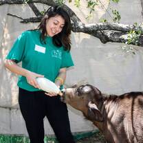 Volunteer feeding Chimoyo
