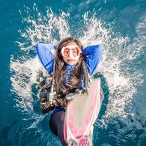 Become a divemaster with Gili Shark Conservation
