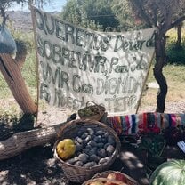 Juyjuy