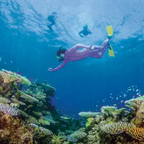 TEAN: Study Abroad in Townsville, Australia